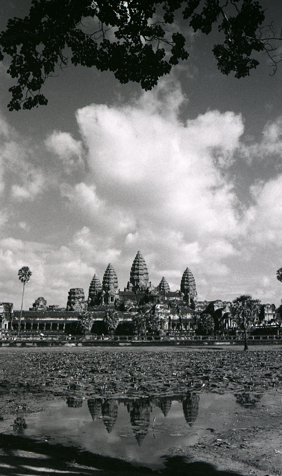 Angor Wat